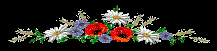 http://os1.i.ua/3/1/9483332_191d174d.gif